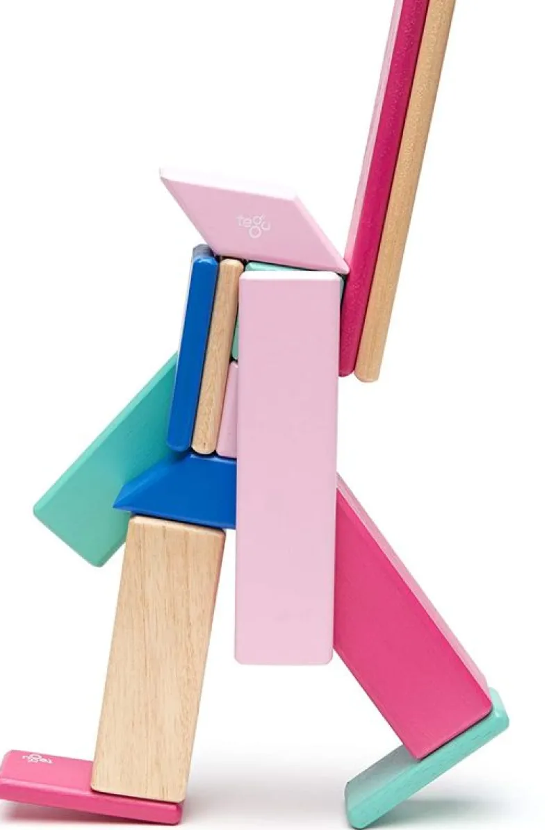 Tegu Juego De 14 Piezas Blossom - ^ Imanes, Libros Magnéticos Y Juegos Magnéticos