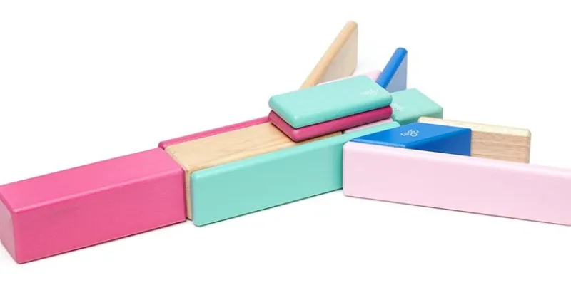 Tegu Juego De 14 Piezas Blossom - ^ Imanes, Libros Magnéticos Y Juegos Magnéticos
