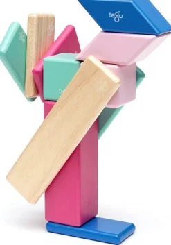 Tegu Juego De 14 Piezas Blossom - ^ Imanes, Libros Magnéticos Y Juegos Magnéticos