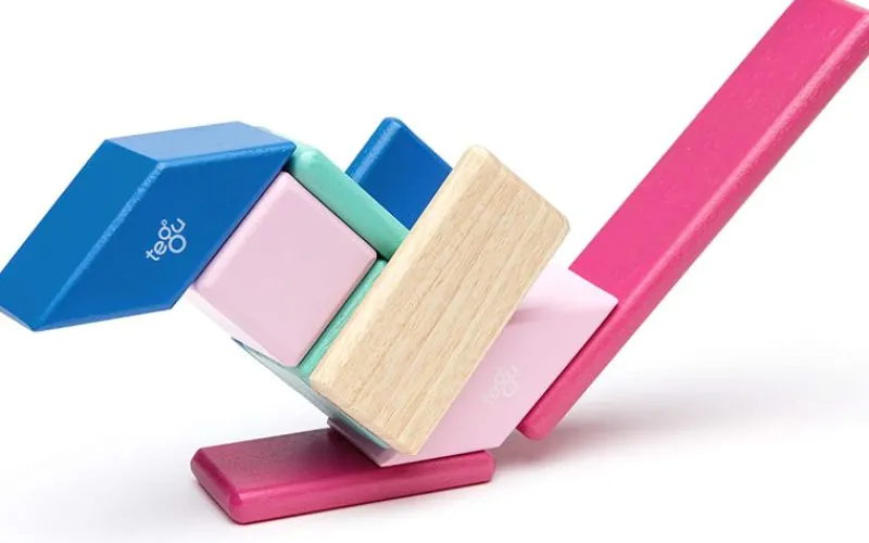 Tegu Juego De 14 Piezas Blossom - ^ Imanes, Libros Magnéticos Y Juegos Magnéticos