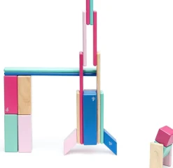 Tegu Juego De 24 Piezas Blossom - ^ Imanes, Libros Magnéticos Y Juegos Magnéticos