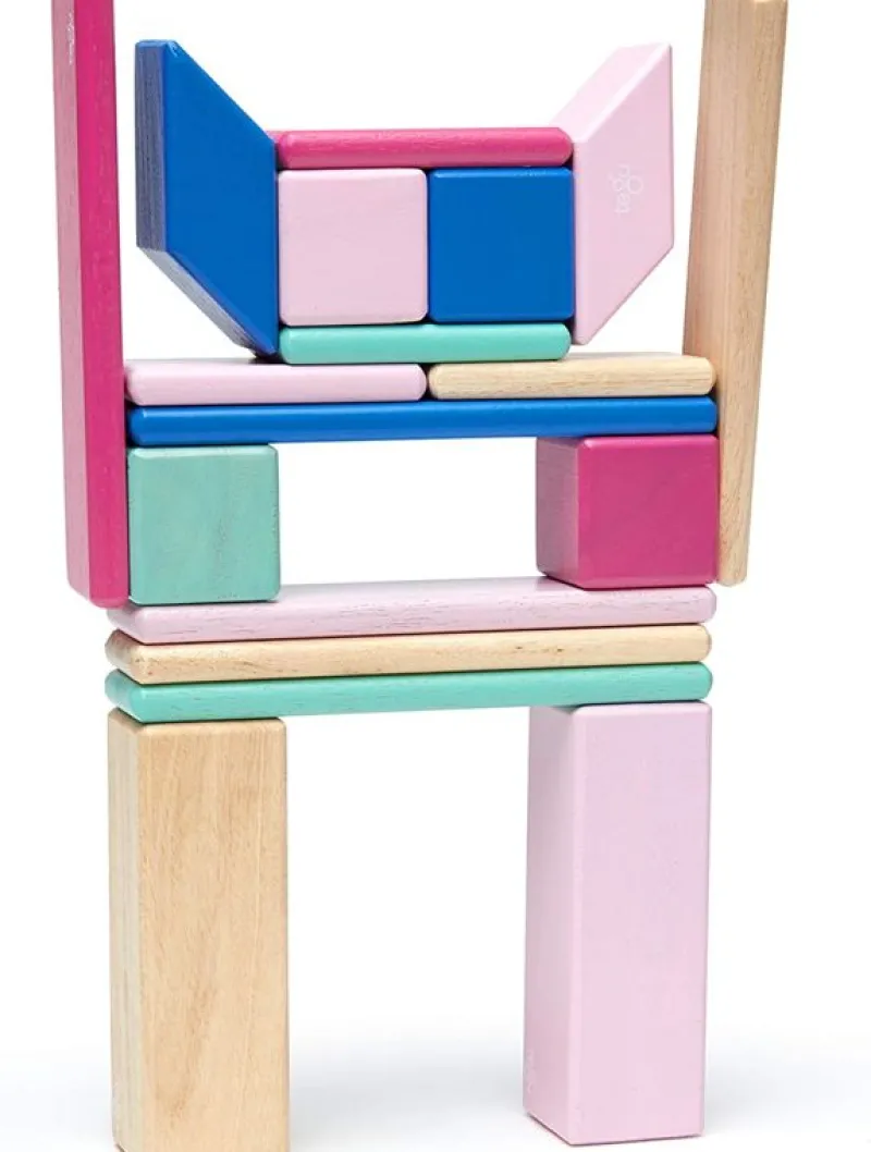 Tegu Juego De 24 Piezas Blossom - ^ Imanes, Libros Magnéticos Y Juegos Magnéticos