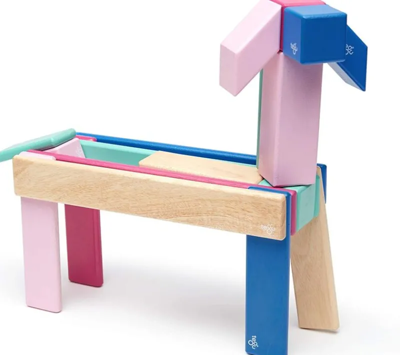 Tegu Juego De 24 Piezas Blossom - ^ Imanes, Libros Magnéticos Y Juegos Magnéticos