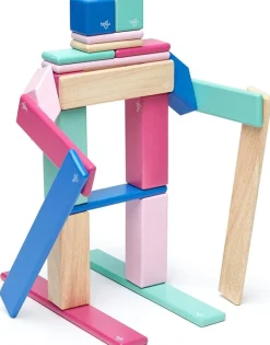 Tegu Juego De 24 Piezas Blossom - ^ Imanes, Libros Magnéticos Y Juegos Magnéticos