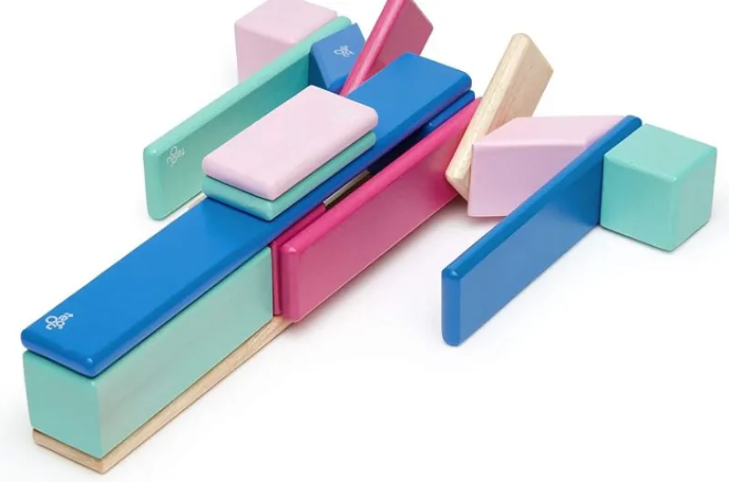 Tegu Juego De 24 Piezas Blossom - ^ Imanes, Libros Magnéticos Y Juegos Magnéticos