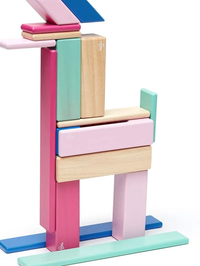 Tegu Juego De 24 Piezas Blossom - ^ Imanes, Libros Magnéticos Y Juegos Magnéticos