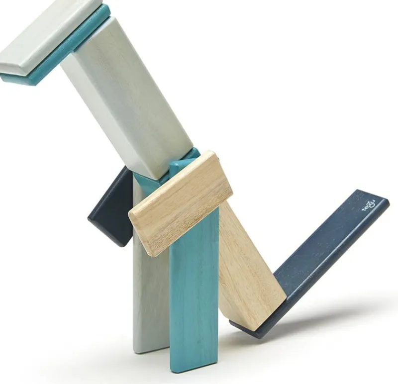 Tegu Juego De 14 Piezas De Blues - ^ Imanes, Libros Magnéticos Y Juegos Magnéticos