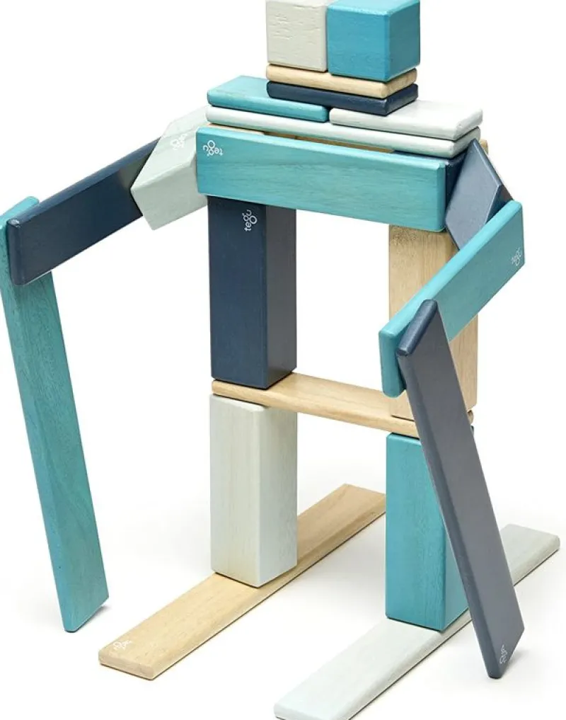 Tegu Juego De 24 Piezas De Blues - ^ Imanes, Libros Magnéticos Y Juegos Magnéticos