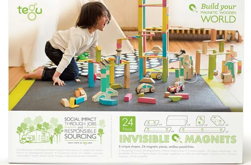 Tegu Juego De 24 Piezas De Blues - ^ Imanes, Libros Magnéticos Y Juegos Magnéticos