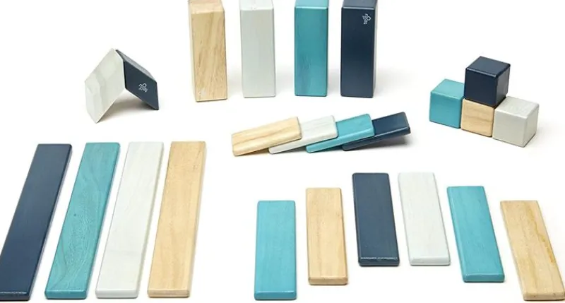 Tegu Juego De 24 Piezas De Blues - ^ Imanes, Libros Magnéticos Y Juegos Magnéticos