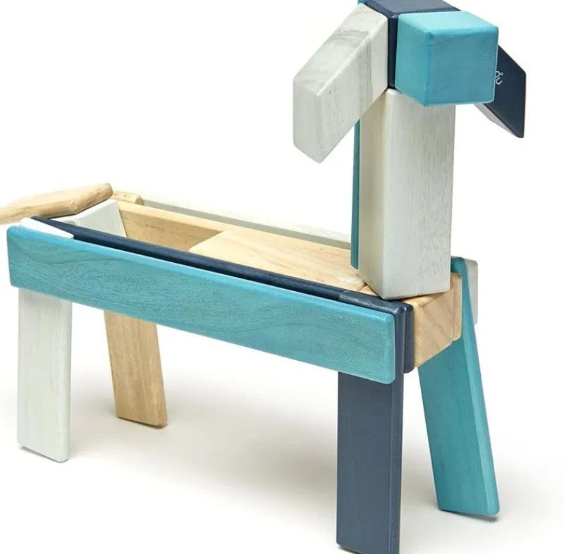 Tegu Juego De 24 Piezas De Blues - ^ Imanes, Libros Magnéticos Y Juegos Magnéticos