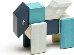 Tegu Juego De 24 Piezas De Blues - ^ Imanes, Libros Magnéticos Y Juegos Magnéticos