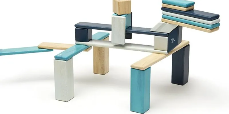 Tegu Juego De 24 Piezas De Blues - ^ Imanes, Libros Magnéticos Y Juegos Magnéticos