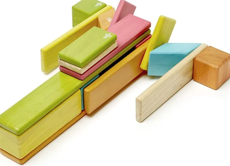 Tegu Juego De 24 Piezas De Tinturas - ^ Imanes, Libros Magnéticos Y Juegos Magnéticos