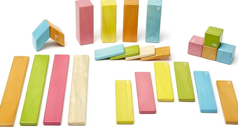 Tegu Juego De 24 Piezas De Tinturas - ^ Imanes, Libros Magnéticos Y Juegos Magnéticos