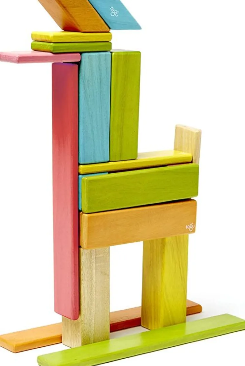Tegu Juego De 24 Piezas De Tinturas - ^ Imanes, Libros Magnéticos Y Juegos Magnéticos