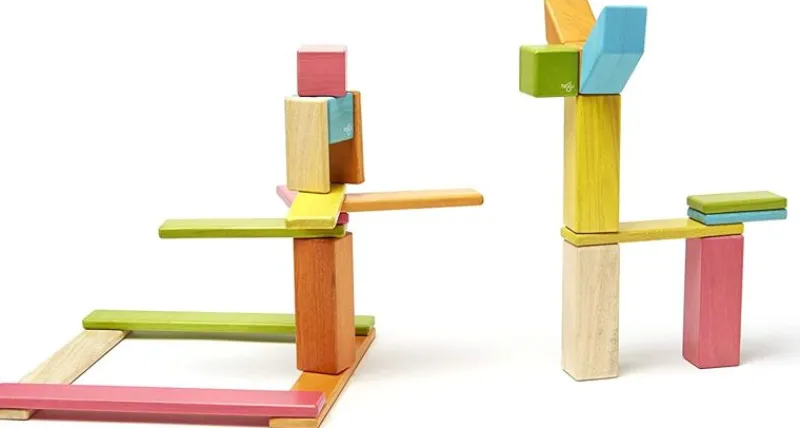 Tegu Juego De 24 Piezas De Tinturas - ^ Imanes, Libros Magnéticos Y Juegos Magnéticos