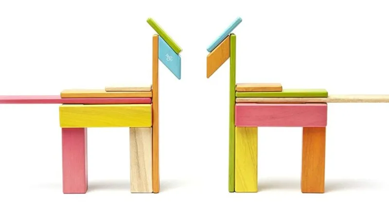 Tegu Juego De 24 Piezas De Tinturas - ^ Imanes, Libros Magnéticos Y Juegos Magnéticos