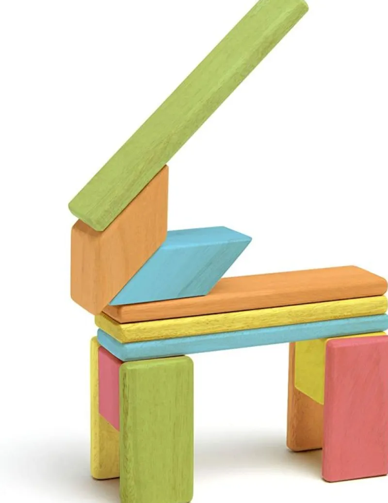 Tegu Juego De 14 Piezas De Tinturas - ^ Imanes, Libros Magnéticos Y Juegos Magnéticos