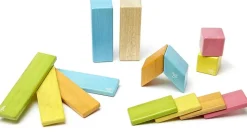 Tegu Juego De 14 Piezas De Tinturas - ^ Imanes, Libros Magnéticos Y Juegos Magnéticos