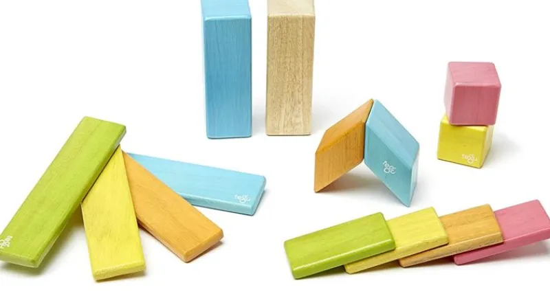 Tegu Juego De 14 Piezas De Tinturas - ^ Imanes, Libros Magnéticos Y Juegos Magnéticos