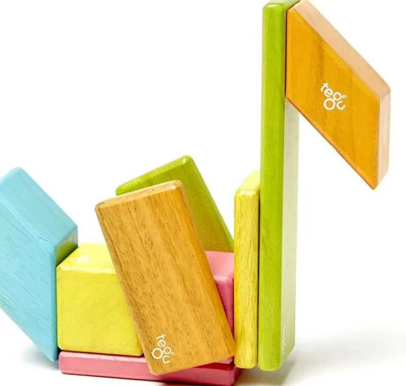 Tegu Juego De 14 Piezas De Tinturas - ^ Imanes, Libros Magnéticos Y Juegos Magnéticos
