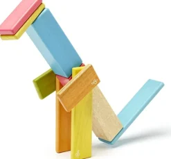 Tegu Juego De 14 Piezas De Tinturas - ^ Imanes, Libros Magnéticos Y Juegos Magnéticos
