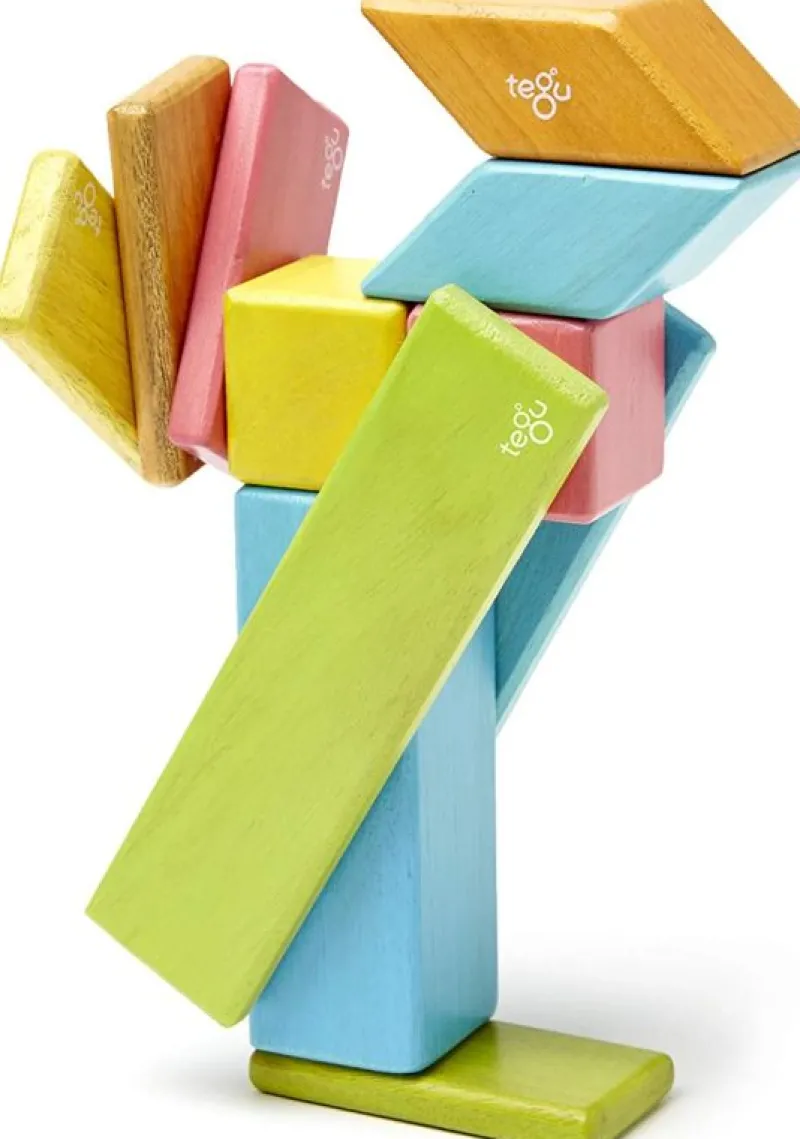 Tegu Juego De 14 Piezas De Tinturas - ^ Imanes, Libros Magnéticos Y Juegos Magnéticos