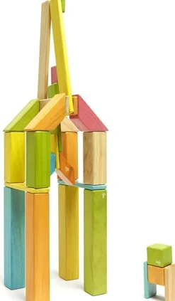 Tegu Juego De 42 Piezas Tintas - ^ Imanes, Libros Magnéticos Y Juegos Magnéticos