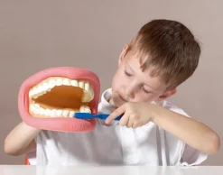 TickiT Kit De Demostracion Dental Gigante - ^ El Mundo Médico