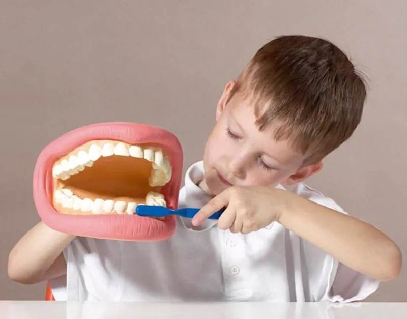 TickiT Kit De Demostracion Dental Gigante - ^ El Mundo Médico