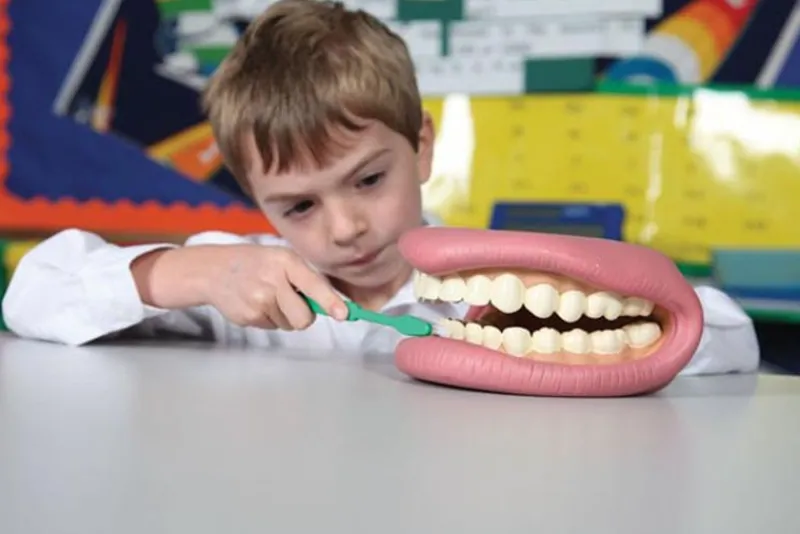 TickiT Kit De Demostracion Dental Gigante - ^ El Mundo Médico