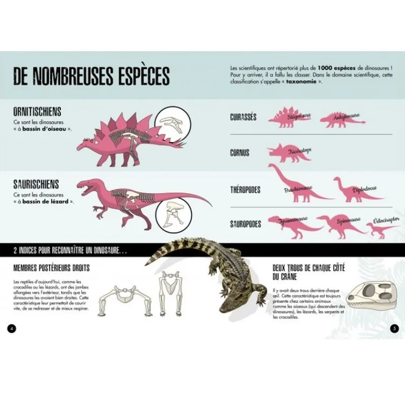Sassi Junior La Era De Los Dinosaurios - El Triceratops - ^ Libros
