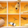 Quelle est Belle Company Llamadas - 6 Nidos Aves Europeas - ^ Llamadas De Pájaros