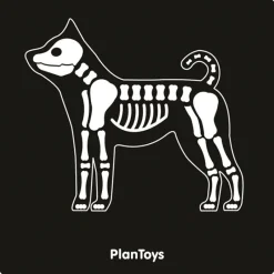 Plan Toys Mi Maleta Veterinaria - ^ El Mundo Médico