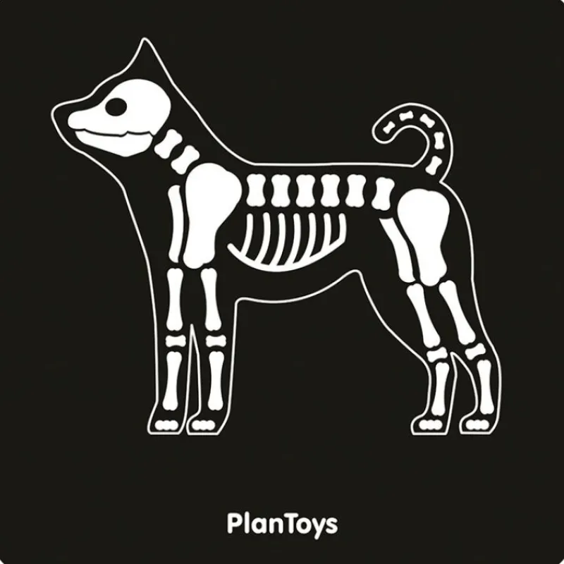 Plan Toys Mi Maleta Veterinaria - ^ El Mundo Médico