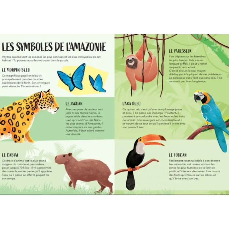 Sassi Junior Planeta En Peligro - El Amazonas - ^ Libros