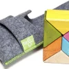 Tegu Prism Pocket Pouch Tints 6 Pcs - ^ Imanes, Libros Magnéticos Y Juegos Magnéticos