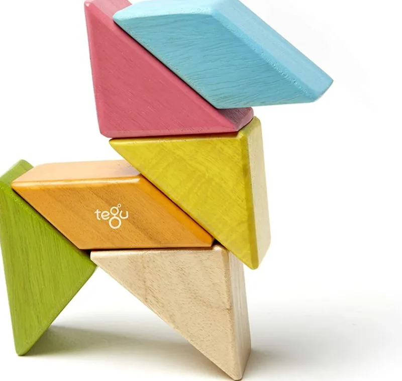 Tegu Prism Pocket Pouch Tints 6 Pcs - ^ Imanes, Libros Magnéticos Y Juegos Magnéticos