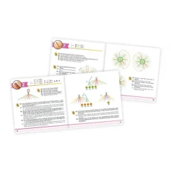Buki France Pulseras De La Amistad - ^ Actividades Creativas De Ocio