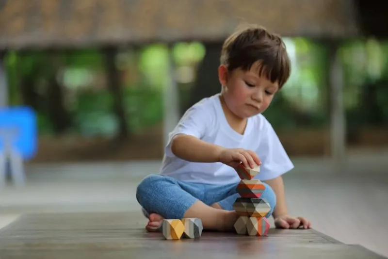 Plan Toys Rocas Equilibradas - ^ Bloques De Construcción
