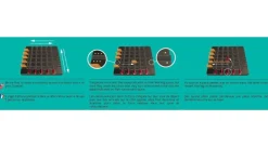 Gigamic Squadro Mini - ^ Juegos De Puzzle, Estrategia Y Logica
