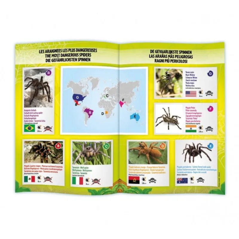 Buki France Tarantula Radiocontrolada - Buki^ Descubrimiento De La Ciencia